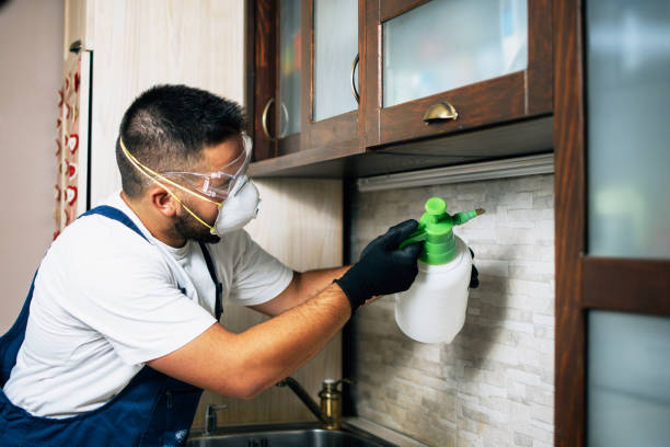 Best Best Pest Control Companies  in Italy, TX