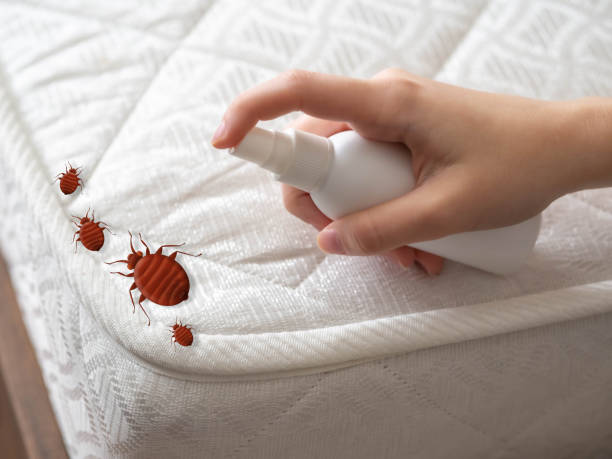 Best Affordable Pest Control Services  in Italy, TX